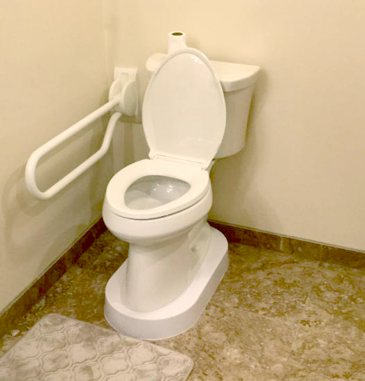 Challenge and Solution - Improving Bathroom Accessibility for an Elderly Gentleman