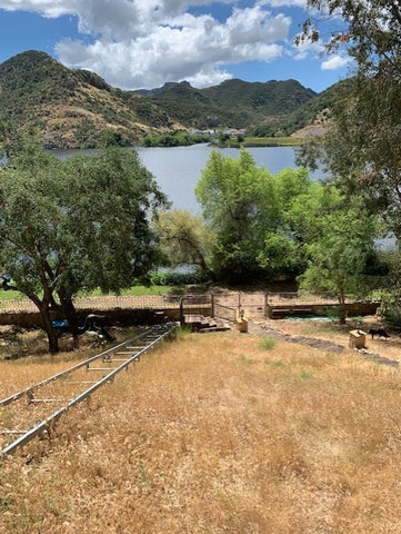 Incline Lift Tram Elevators For Hillside Properties