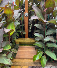 Load image into Gallery viewer, 30" x 30" Teak Bath or Shower Mat with Rounded Corners