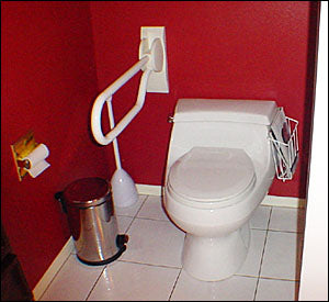 Fold Down Grab Bar with Optional Toilet Paper Holder