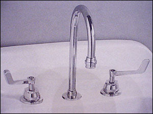 Gooseneck Faucet and Winged Handles Select